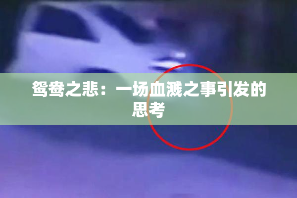 鸳鸯之悲：一场血溅之事引发的思考