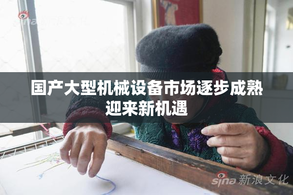国产大型机械设备市场逐步成熟迎来新机遇