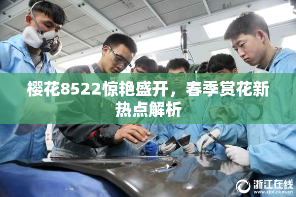 樱花8522惊艳盛开，春季赏花新热点解析