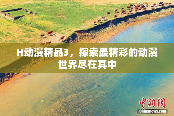 H动漫精品3，探索最精彩的动漫世界尽在其中