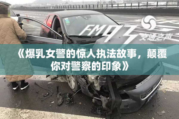 《爆乳女警的惊人执法故事，颠覆你对警察的印象》