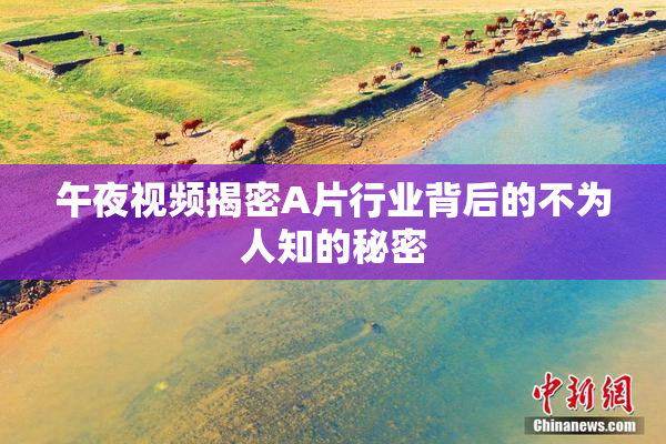 午夜视频揭密A片行业背后的不为人知的秘密