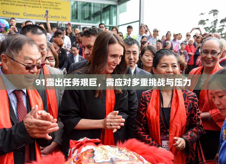 91露出任务艰巨，需应对多重挑战与压力