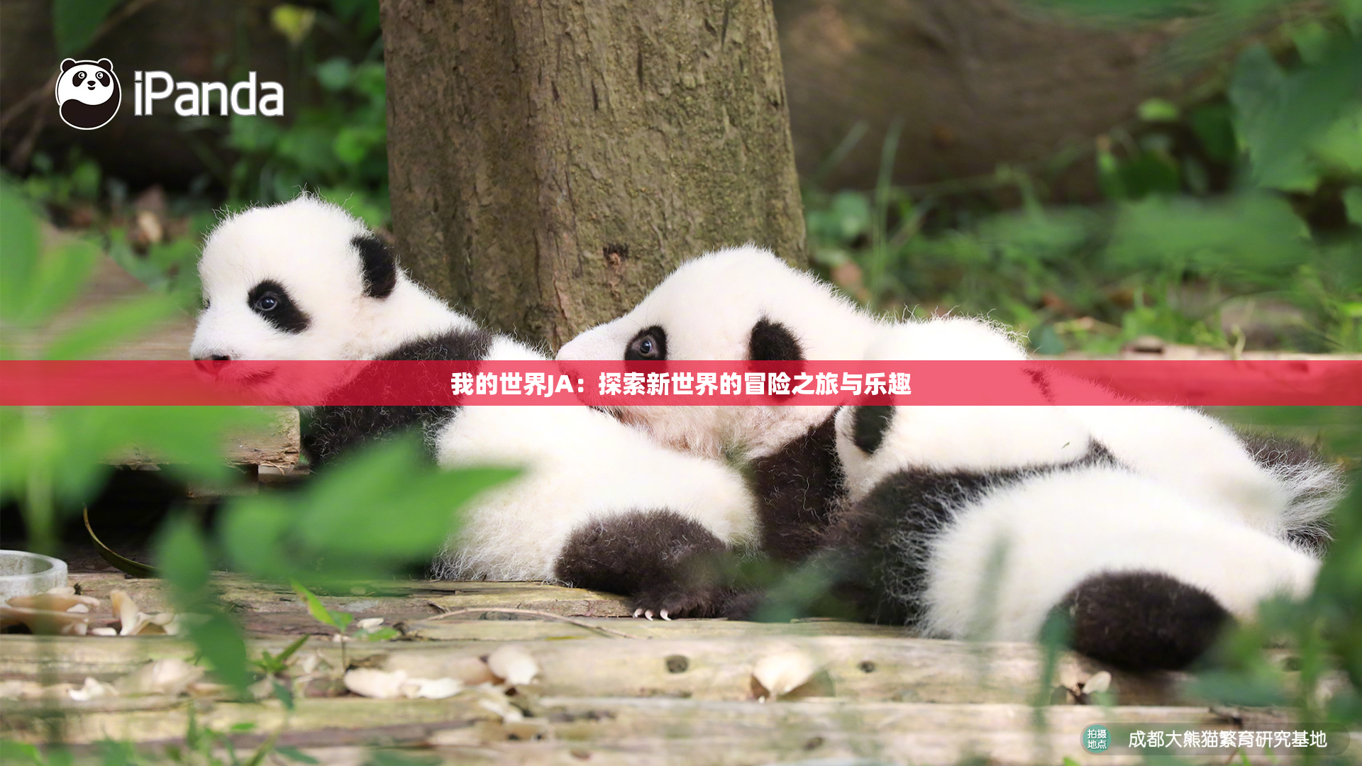 我的世界JA：探索新世界的冒险之旅与乐趣