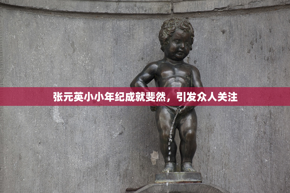 张元英小小年纪成就斐然，引发众人关注