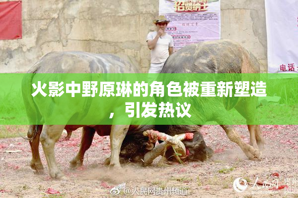 火影中野原琳的角色被重新塑造，引发热议