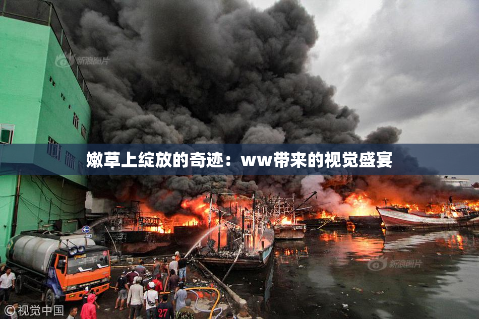 嫩草上绽放的奇迹：ww带来的视觉盛宴