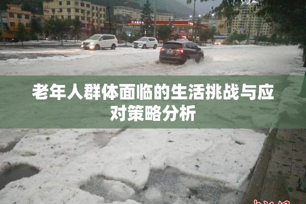 老年人群体面临的生活挑战与应对策略分析