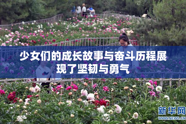 少女们的成长故事与奋斗历程展现了坚韧与勇气