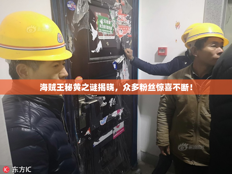海贼王秘黄之谜揭晓，众多粉丝惊喜不断！