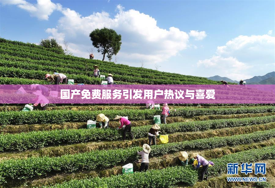 国产免费服务引发用户热议与喜爱