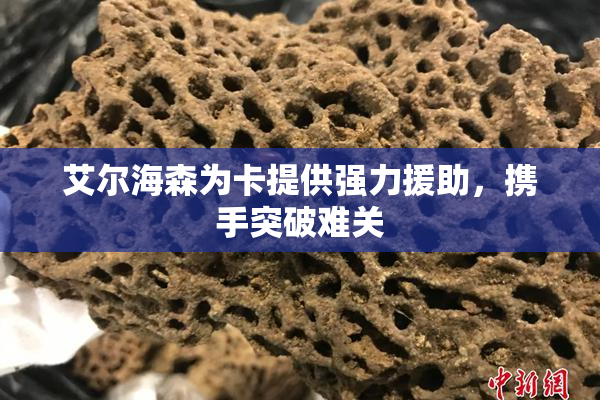 艾尔海森为卡提供强力援助，携手突破难关