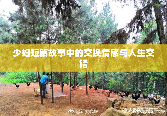 少妇短篇故事中的交换情感与人生交错