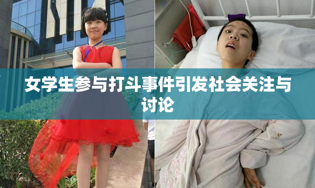 女学生参与打斗事件引发社会关注与讨论