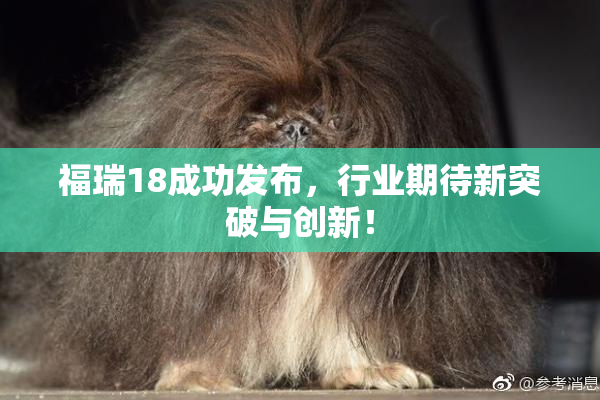 福瑞18成功发布，行业期待新突破与创新！
