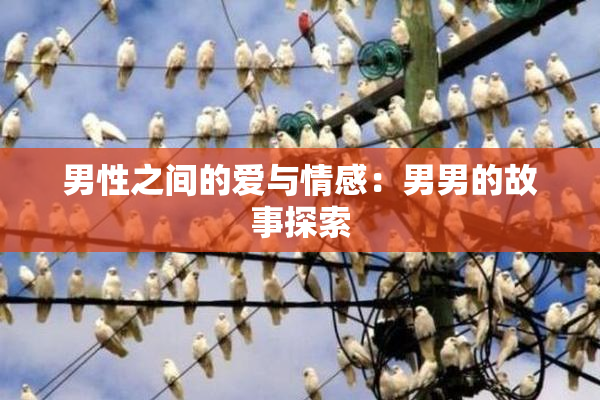 男性之间的爱与情感：男男的故事探索