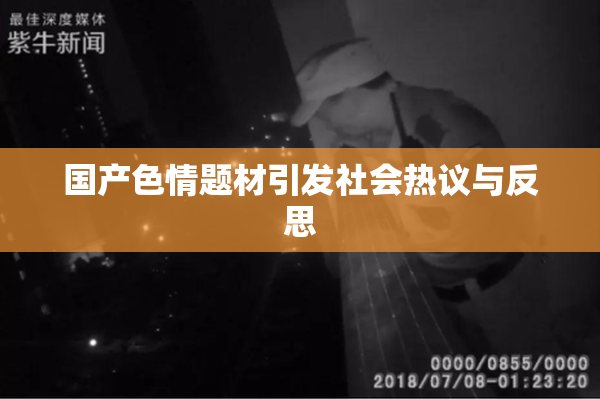 国产色情题材引发社会热议与反思
