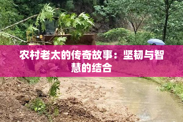 农村老太的传奇故事：坚韧与智慧的结合