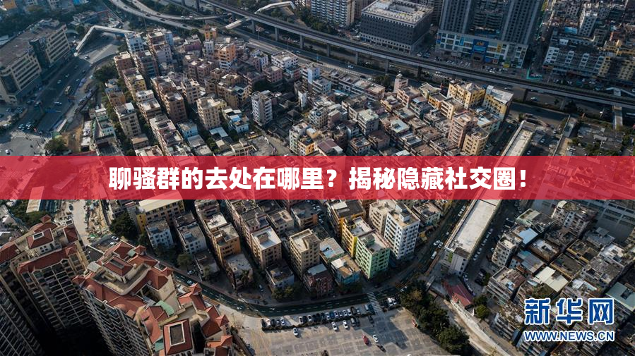 聊骚群的去处在哪里？揭秘隐藏社交圈！