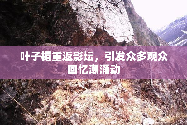 叶子楣重返影坛，引发众多观众回忆潮涌动