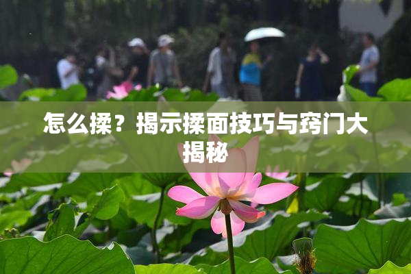 怎么揉？揭示揉面技巧与窍门大揭秘