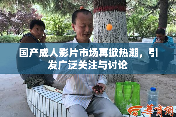 国产成人影片市场再掀热潮，引发广泛关注与讨论