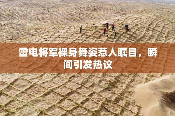 雷电将军裸身舞姿惹人瞩目，瞬间引发热议
