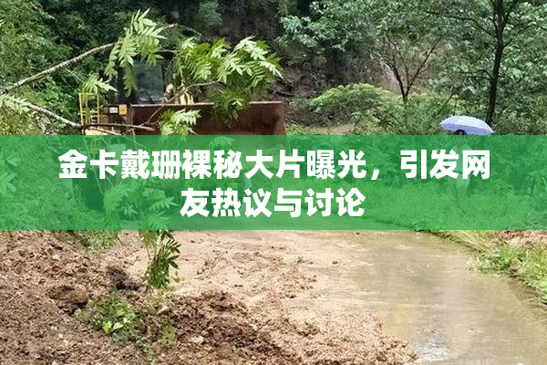 金卡戴珊裸秘大片曝光，引发网友热议与讨论