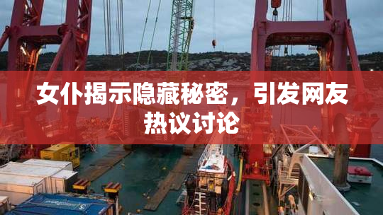 女仆揭示隐藏秘密，引发网友热议讨论