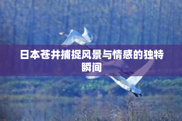 日本苍井捕捉风景与情感的独特瞬间