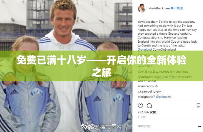 免费已满十八岁——开启你的全新体验之旅