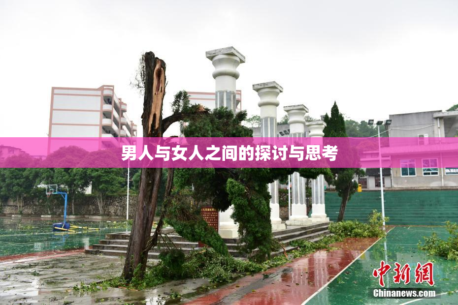 男人与女人之间的探讨与思考