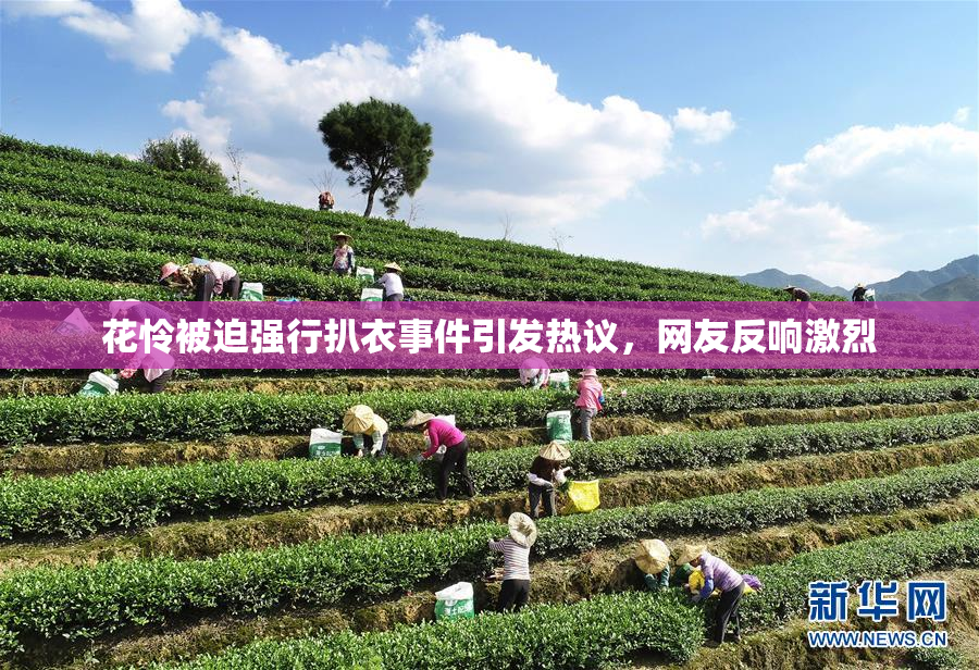 花怜被迫强行扒衣事件引发热议，网友反响激烈