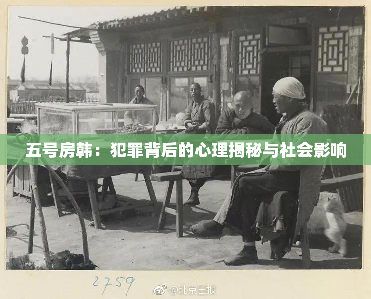 五号房韩：犯罪背后的心理揭秘与社会影响