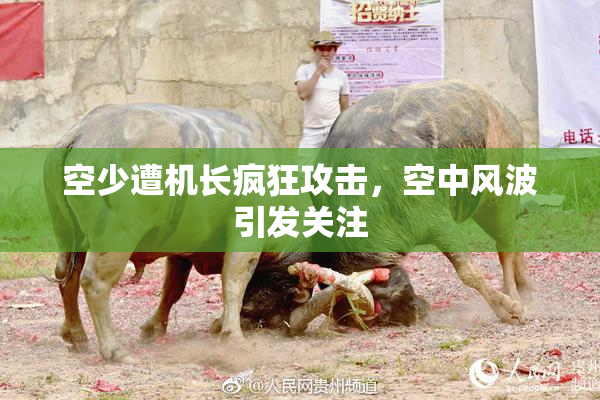 空少遭机长疯狂攻击，空中风波引发关注