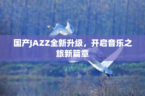 国产JAZZ全新升级，开启音乐之旅新篇章