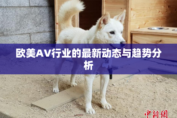 欧美AV行业的最新动态与趋势分析
