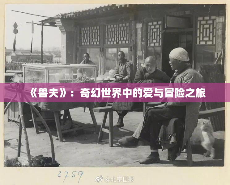 《兽夫》：奇幻世界中的爱与冒险之旅