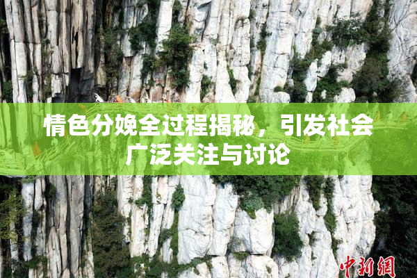 情色分娩全过程揭秘，引发社会广泛关注与讨论