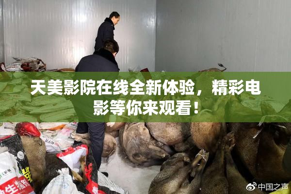 天美影院在线全新体验，精彩电影等你来观看！