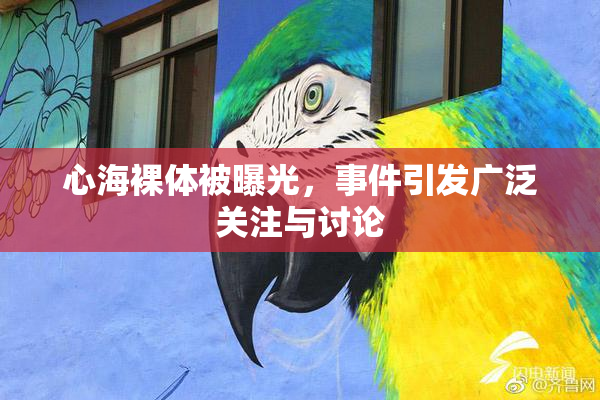 心海裸体被曝光，事件引发广泛关注与讨论