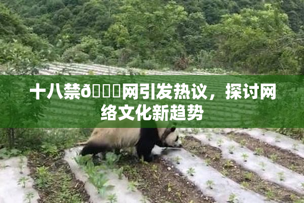 十八禁🔞网引发热议，探讨网络文化新趋势