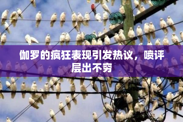 伽罗的疯狂表现引发热议，喷评层出不穷