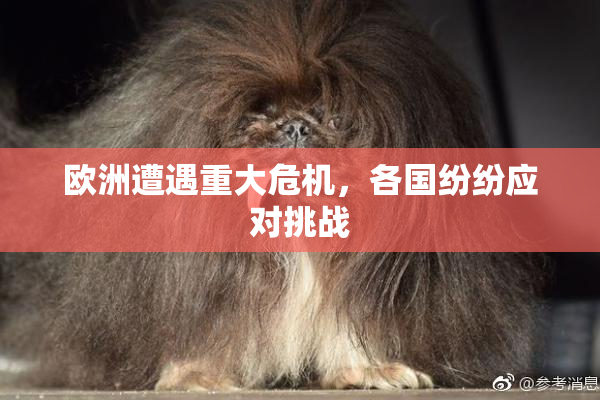 欧洲遭遇重大危机，各国纷纷应对挑战