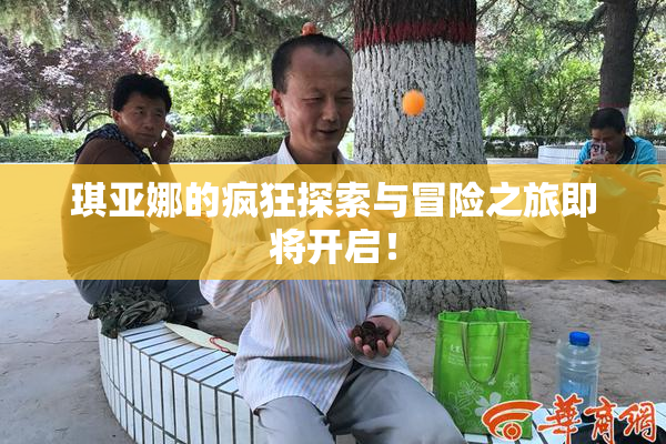 琪亚娜的疯狂探索与冒险之旅即将开启！
