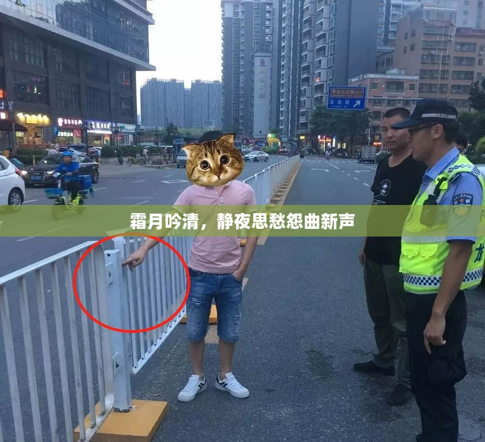 霜月吟清，静夜思愁怨曲新声