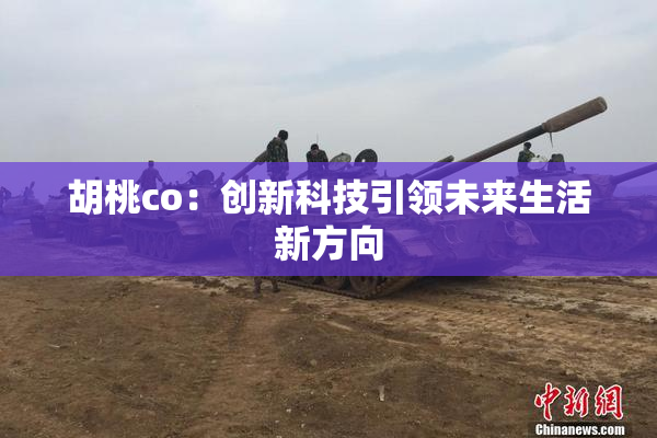 胡桃co：创新科技引领未来生活新方向