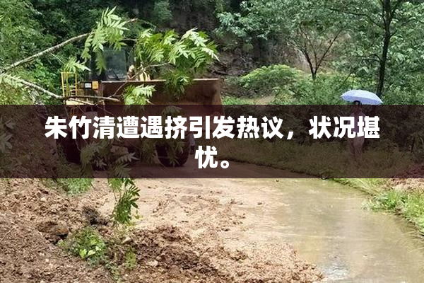 朱竹清遭遇挤引发热议，状况堪忧。