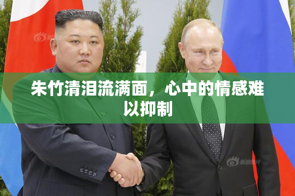 朱竹清泪流满面，心中的情感难以抑制