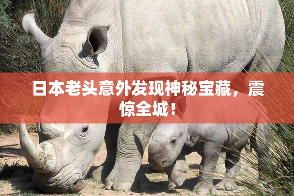 日本老头意外发现神秘宝藏，震惊全城！